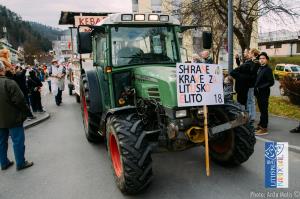 Litijski Karneval 2019-32